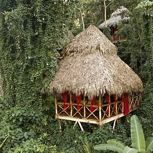 2* Station touristique Dominican Tree House Village